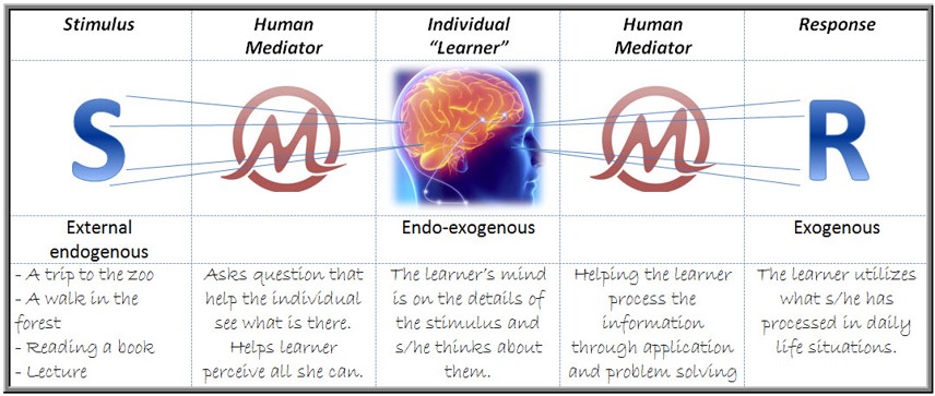 Human Mediation Chart